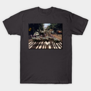 Abbey Road Without Beatles but with Birds T-Shirt